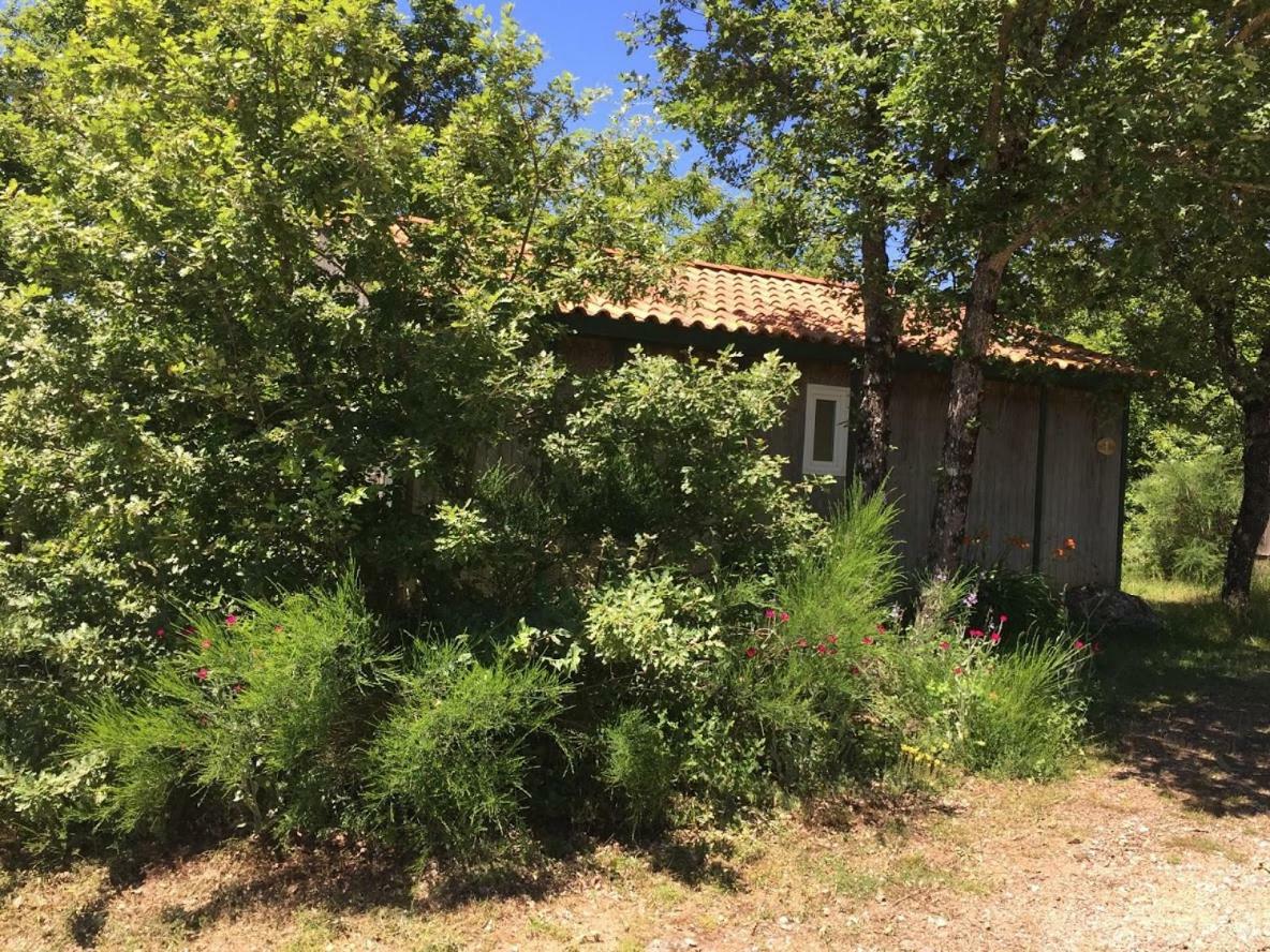 Le Balcon Des Raspes Hotel Saint-Victor-et-Melvieu ภายนอก รูปภาพ